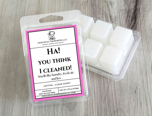 You think I cleaned, Snarky Scents Wax Melts