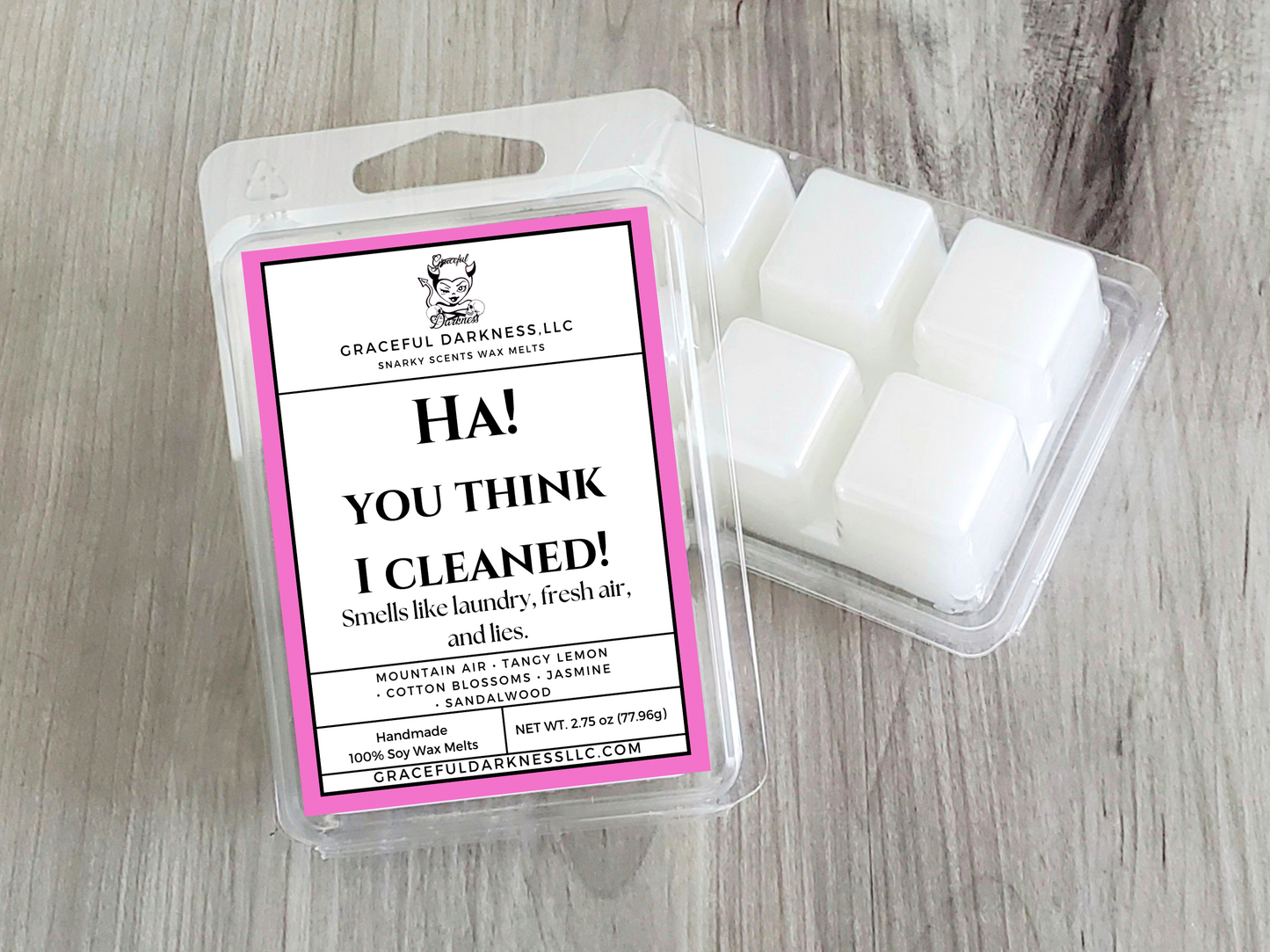 You think I cleaned, Snarky Scents Wax Melts